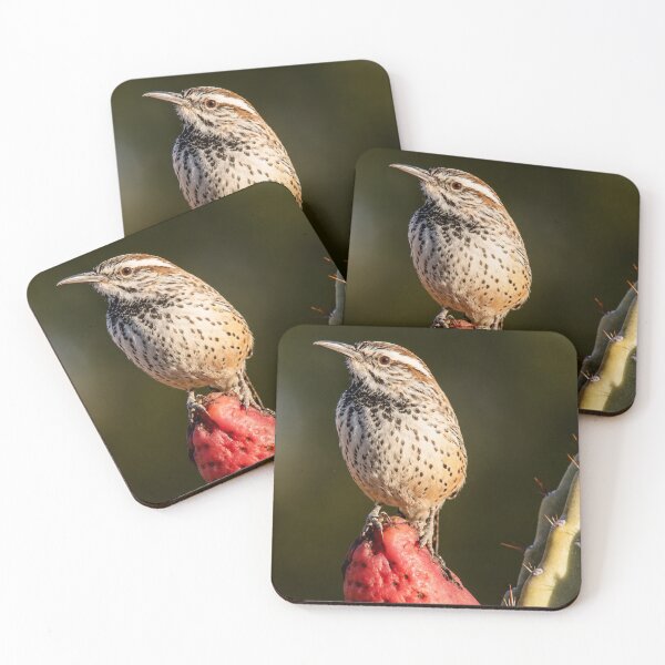 Item preview, Cactus Wren on Prickly Pear | Desert Bird Wildlife Photography designed and sold by Kimberly Palmer.