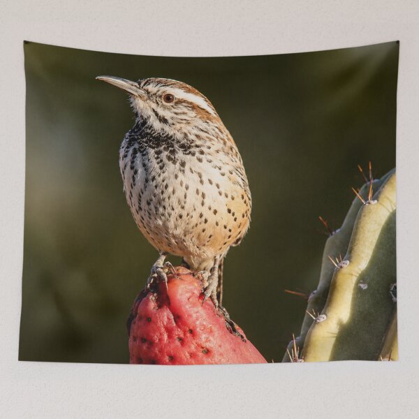 Item preview, Cactus Wren on Prickly Pear | Desert Bird Wildlife Photography designed and sold by Kimberly Palmer.