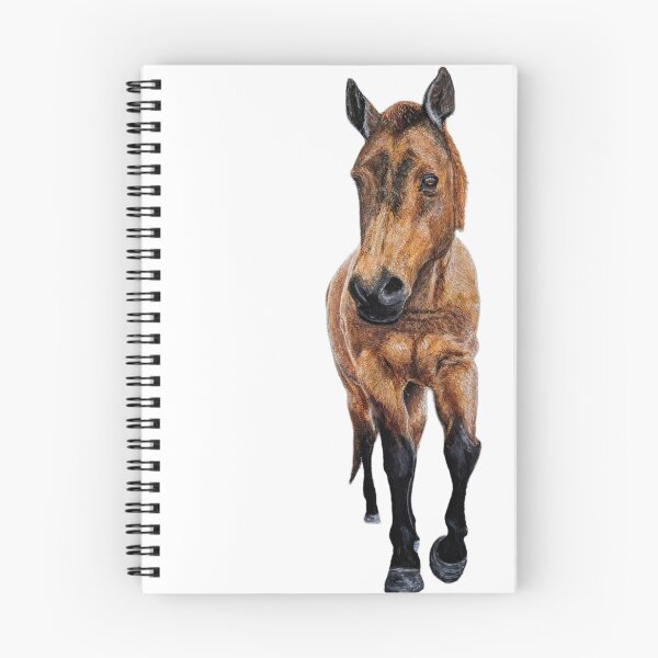 Item preview, Diamond - Caballo rescatado designed and sold by RobbiePotterArt.