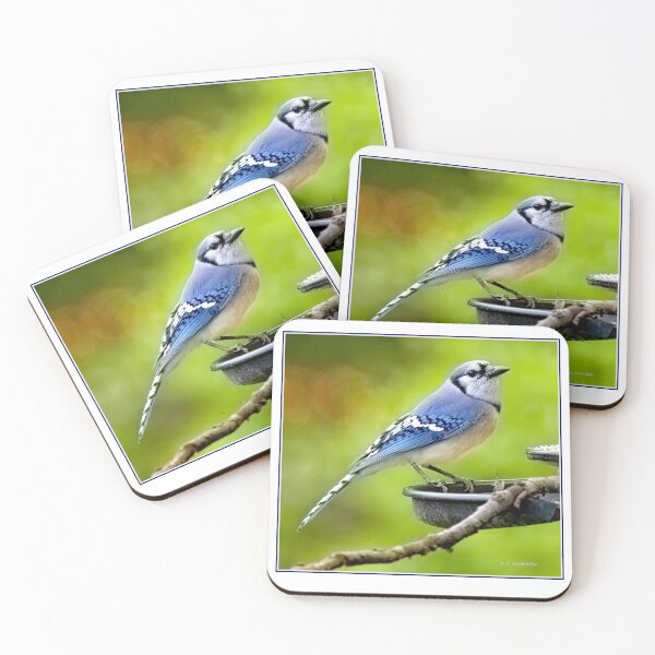 Item preview, North American Bluejay on Bird Feeder designed and sold by AMacGPhilly.