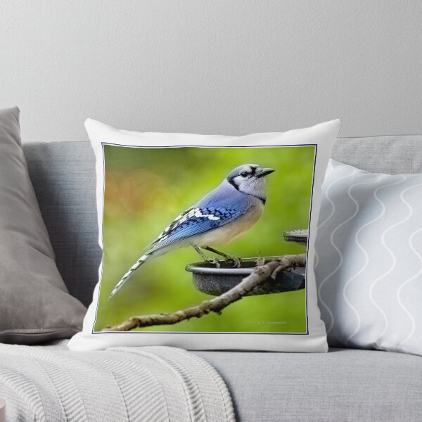Item preview, North American Bluejay on Bird Feeder designed and sold by AMacGPhilly.