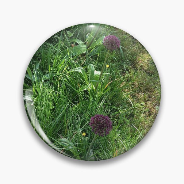 Item preview, Purple Allium Flowers in a Sunny Garden designed and sold by PhuongVoArt.