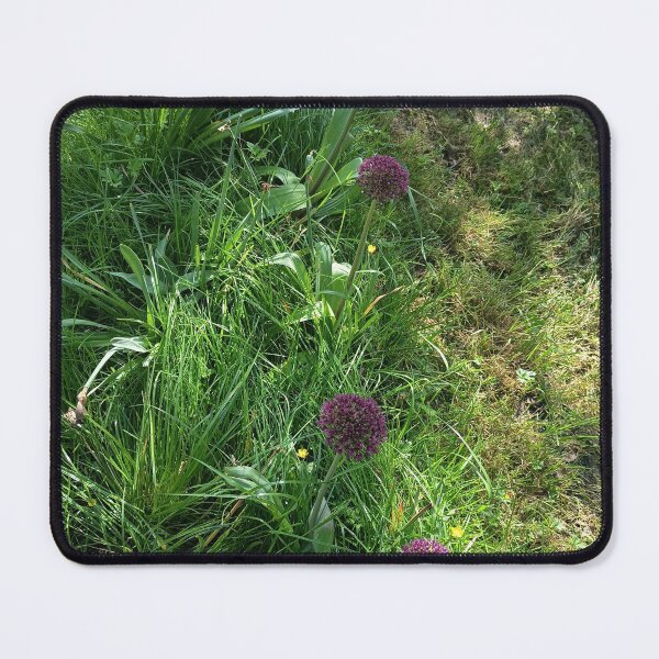 Item preview, Purple Allium Flowers in a Sunny Garden designed and sold by PhuongVoArt.
