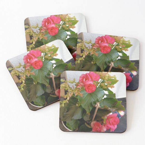 Item preview, Pink Begonia in Decorative Flower Pot designed and sold by PhuongVoArt.