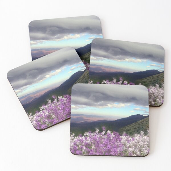 Item preview, Presidential Phlox Storm designed and sold by Wayne King.