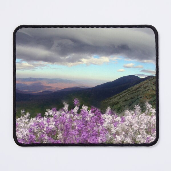 Item preview, Presidential Phlox Storm designed and sold by Wayne King.