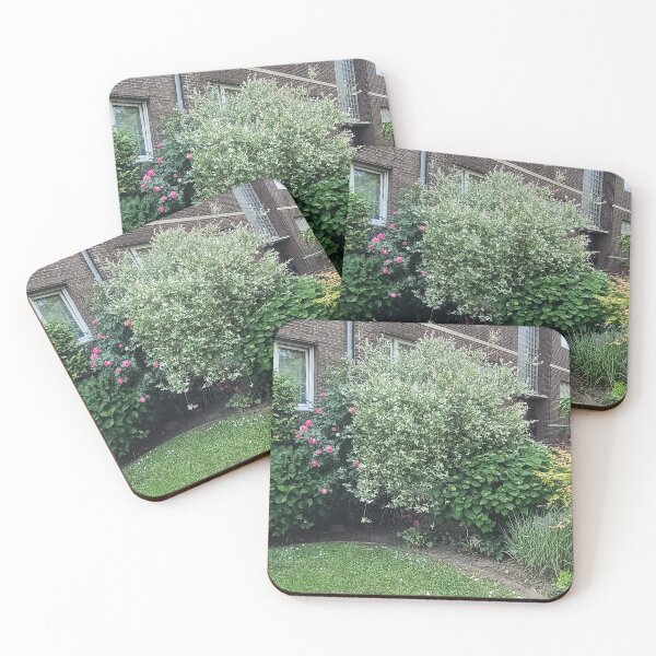 Item preview, Ornamental Garden in Front of a Brick Building designed and sold by PhuongVoArt.