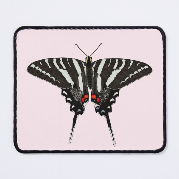 Item preview, Zebra Swallowtail Butterfly (Eurytides marcellus) designed and sold by Floralfusion.
