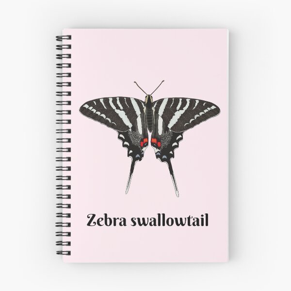 Item preview, Zebra Swallowtail Butterfly (Eurytides marcellus) designed and sold by Floralfusion.