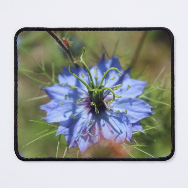 Item preview, Close-Up Blue Nigella Bloom - Soft nature photography designed and sold by Cha-s-lens.
