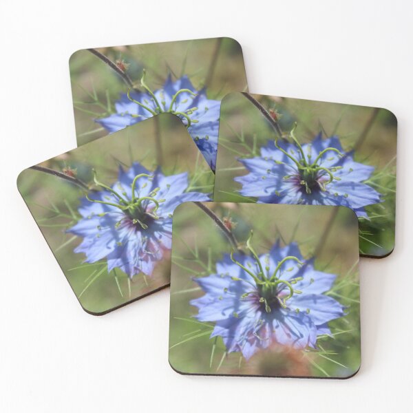 Item preview, Close-Up Blue Nigella Bloom - Soft nature photography designed and sold by Cha-s-lens.