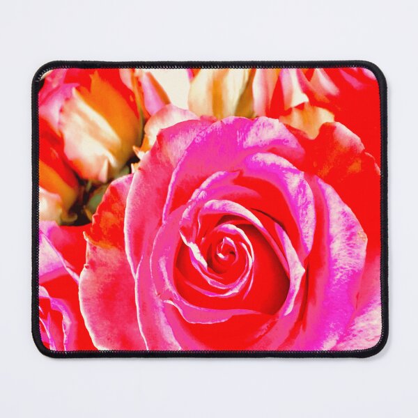 Item preview, Vivid Hot Pink Rose Blossom Bouquet Close Up designed and sold by BalkanBloom.