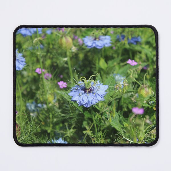 Item preview, Love-in-a-Mist Meadow | Wildflower Garden Scene designed and sold by Cha-s-lens.