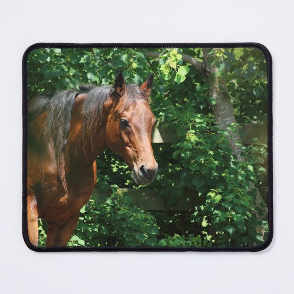 Item preview, High Noon Feeding designed and sold by Olivia Plasencia.