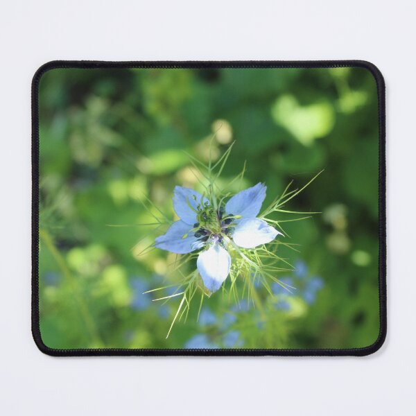 Item preview, Love-in-a-Mist in Sunlight | Delicate Blue Flower designed and sold by Cha-s-lens.
