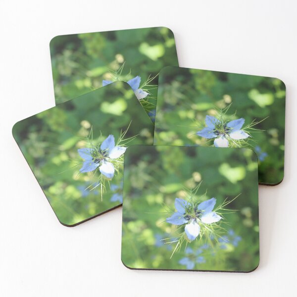 Item preview, Love-in-a-Mist in Sunlight | Delicate Blue Flower designed and sold by Cha-s-lens.
