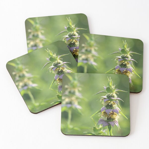Item preview, Gently shine designed and sold by Olivia Plasencia.
