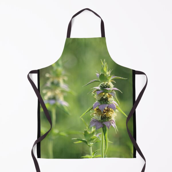 Item preview, Gently shine designed and sold by Olivia Plasencia.