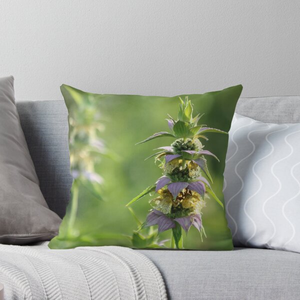 Item preview, Gently shine designed and sold by Olivia Plasencia.
