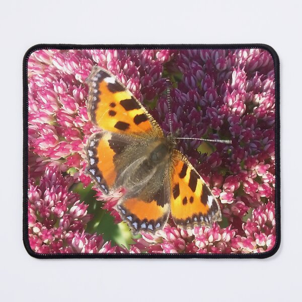Item preview, Butterfly in Sunlight designed and sold by CalmnessbyChoice.