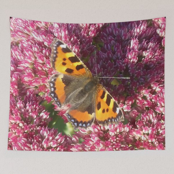 Item preview, Butterfly in Sunlight designed and sold by CalmnessbyChoice.