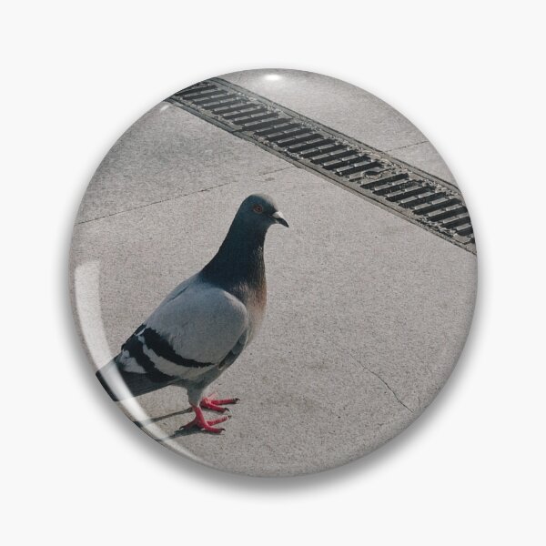 Item preview, Pigeon on Portuguese Pavement designed and sold by Split Second Lines.