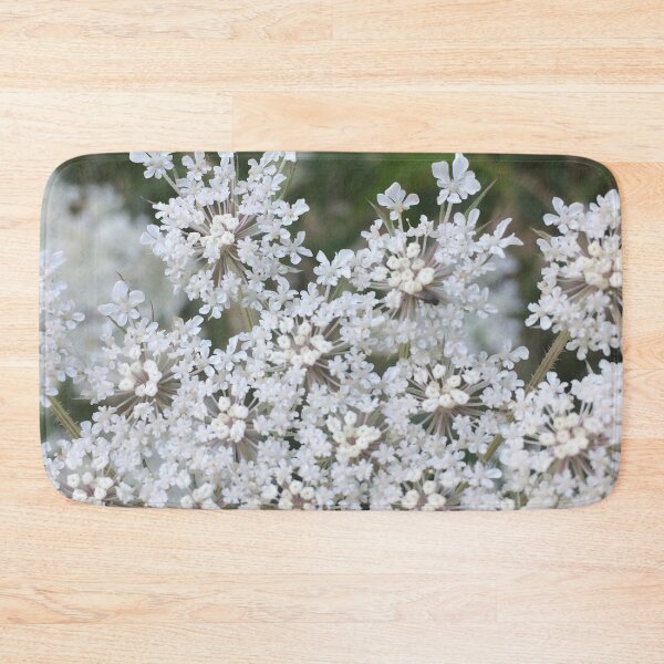 Item preview, Queen Anne's Lace Close up, REAL photograph designed and sold by GiSilver.