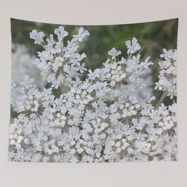 Item preview, Queen Anne's Lace Close up, REAL photograph designed and sold by GiSilver.