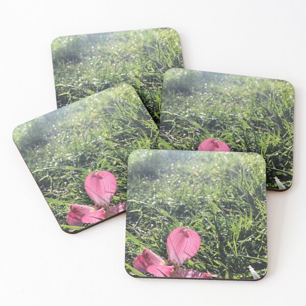 Item preview, Pink Dogwood flower, REAL photograph designed and sold by GiSilver.