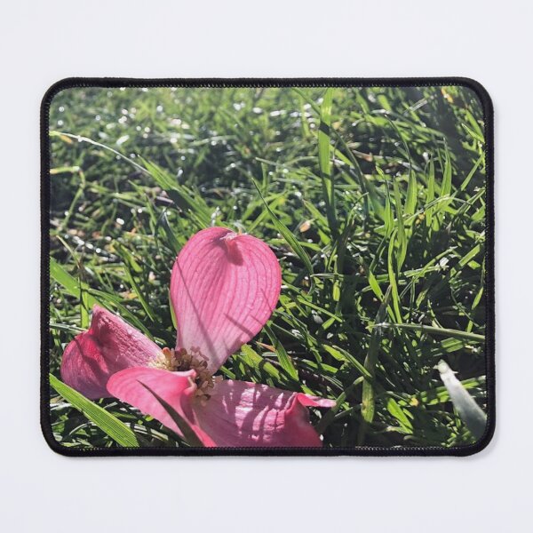 Item preview, Pink Dogwood flower, REAL photograph designed and sold by GiSilver.