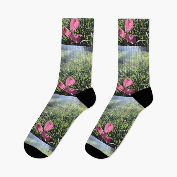 Item preview, Pink Dogwood flower, REAL photograph designed and sold by GiSilver.