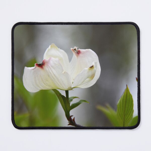 Item preview, Dogwood designed and sold by Poete100.