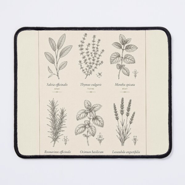 Item preview, Six kitchen herbs herbarium print — botanical grid art designed and sold by BalancedCoNL.