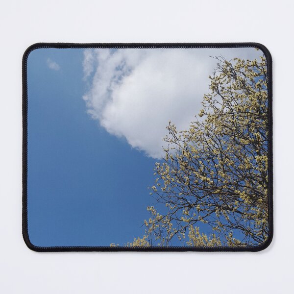 Item preview, Blooming willow tree on the blue sky background designed and sold by Dniprianka.