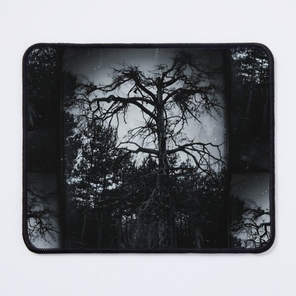 Item preview, Gothic Dead Tree | Dark Academia Witchy Woods | Monochrome Moody Forest Photography designed and sold by SergioMiklos.