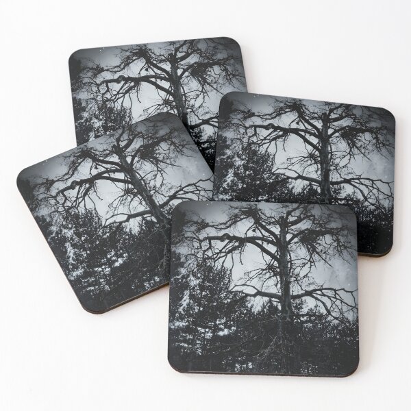 Item preview, Gothic Dead Tree | Dark Academia Witchy Woods | Monochrome Moody Forest Photography designed and sold by SergioMiklos.