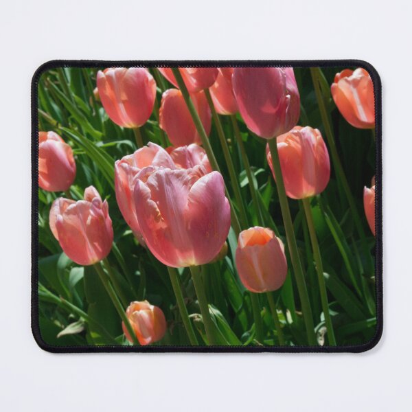 Item preview, Tulips designed and sold by DaniAlex.