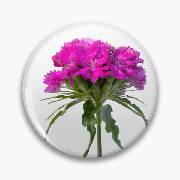 Item preview, Purple flower stem closeup designed and sold by KRFNatureGifts.