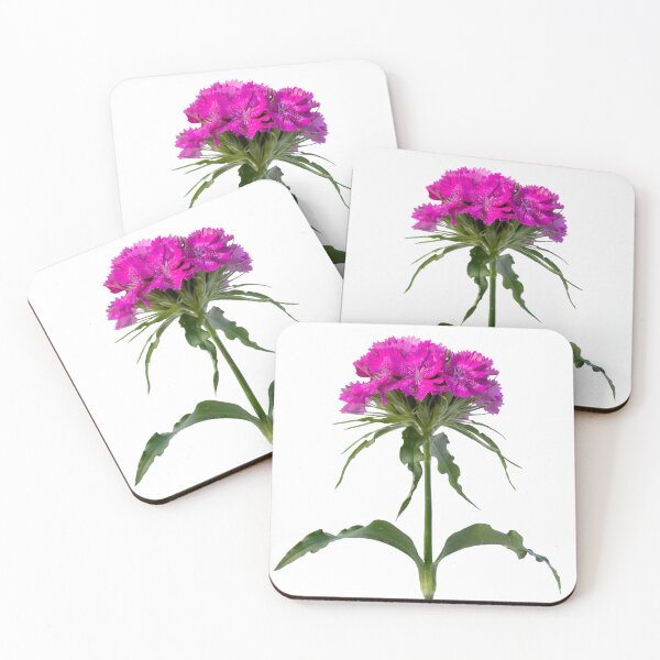 Item preview, Purple flower stem closeup designed and sold by KRFNatureGifts.