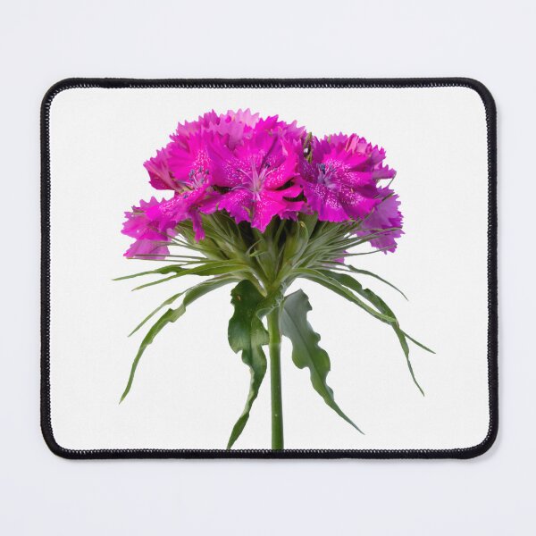 Item preview, Purple flower stem closeup designed and sold by KRFNatureGifts.