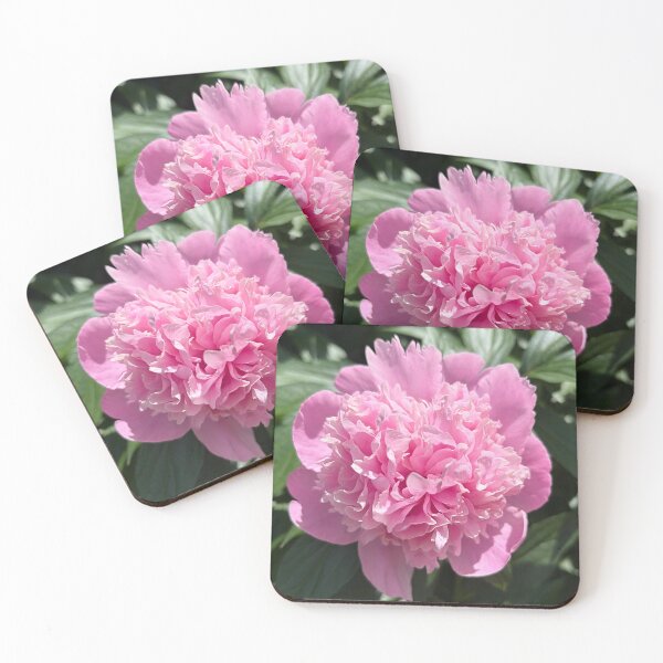 Item preview, Pink Peony Photograph designed and sold by Shannon Greve.