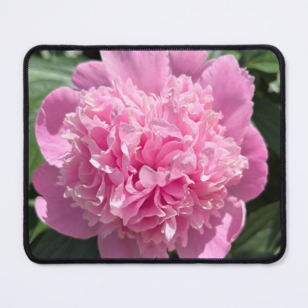 Item preview, Pink Peony Photograph designed and sold by Shannon Greve.