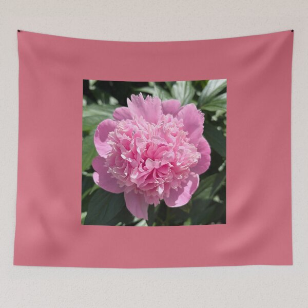 Item preview, Pink Peony Photograph designed and sold by Shannon Greve.