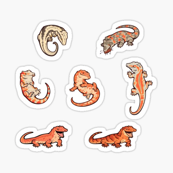 Gecko sticker batch the fourth Sticker