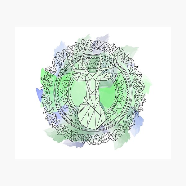 Deer mandala Photographic Print
