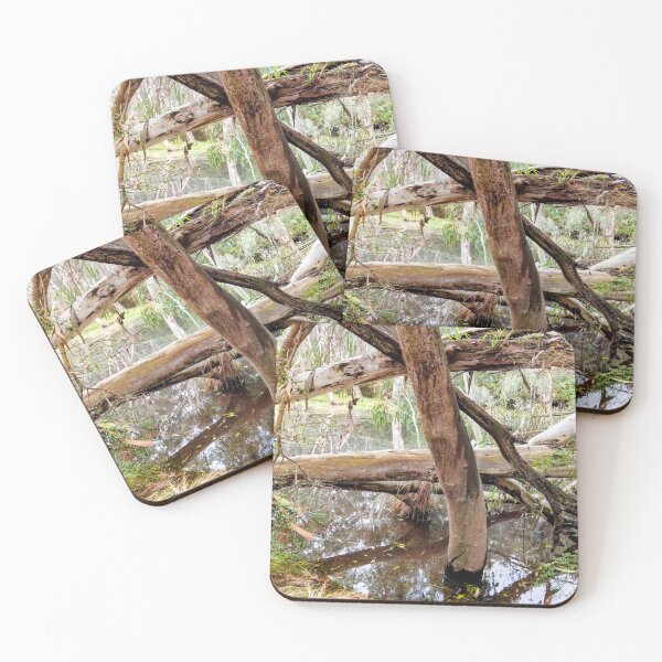 Item preview, Creek in the Eucalyptus Forest designed and sold by HPrespective.