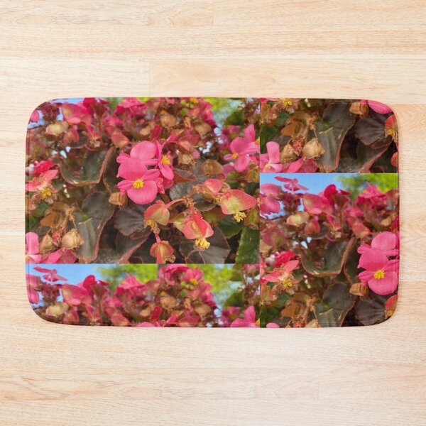 Item preview, Vibrant Pink Wax Begonias with Bronze Foliage designed and sold by BalkanBloom.