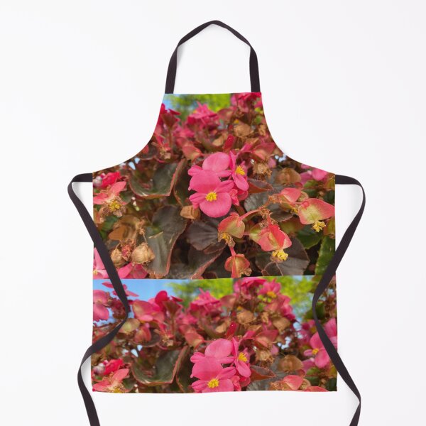 Item preview, Vibrant Pink Wax Begonias with Bronze Foliage designed and sold by BalkanBloom.