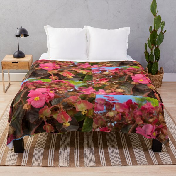 Item preview, Vibrant Pink Wax Begonias with Bronze Foliage designed and sold by BalkanBloom.