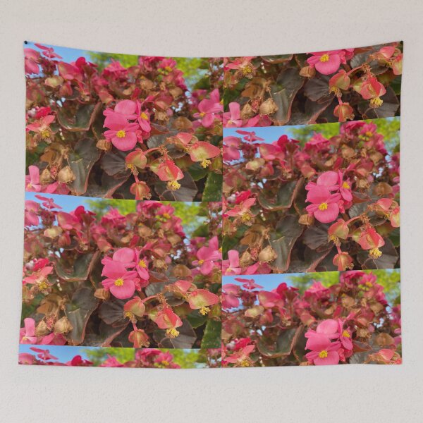 Item preview, Vibrant Pink Wax Begonias with Bronze Foliage designed and sold by BalkanBloom.